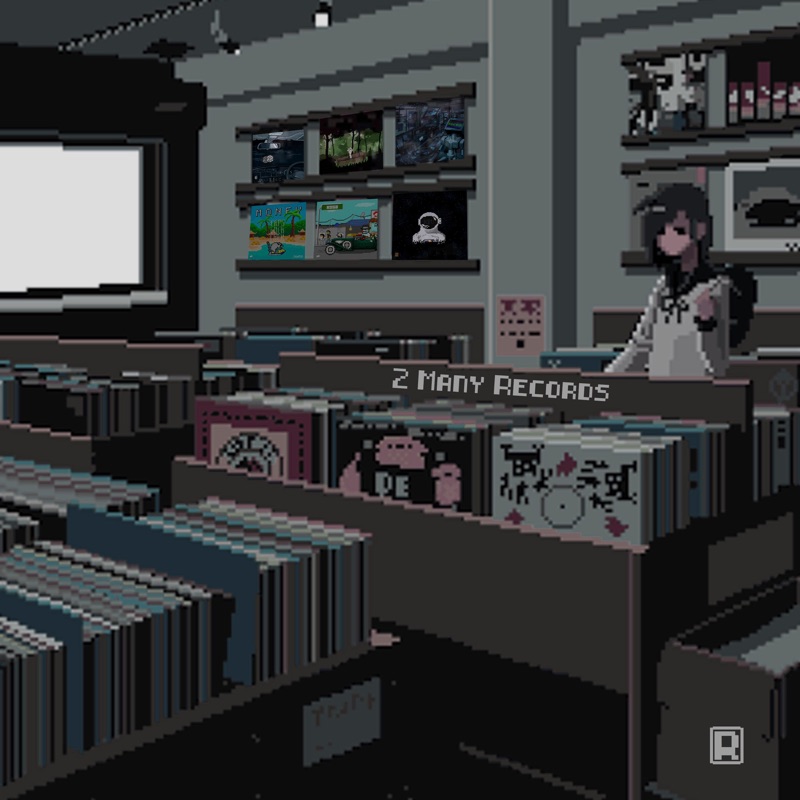 2 Many Records - Single
