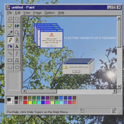 Fleeting Thoughts of a Teenager