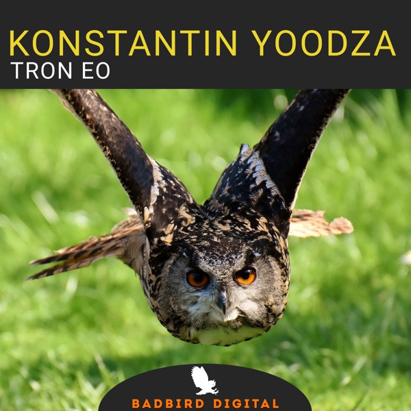 Tron Eo - Single - Konstantin Yoodza