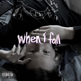 When I Fall Flux