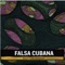 Diez Vidas de Caravana - Falsa Cubana lyrics