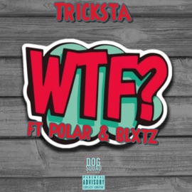 What the Fxck (feat. Polar & Blxtz) Tricksta