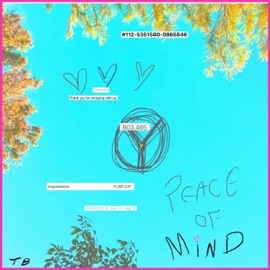 Peace of Mind Taylor Beau