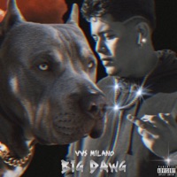 BIG Dawg - Single - VVS Milano