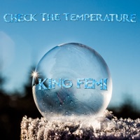 Check the Temperature - Single - King Femi