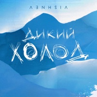 Дикий холод - Single - VISHNEV
