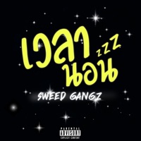 เวลานอน (feat. Callmeyoung, Bt, Beem Loei, Trip J & Vkl) - Single - Sweed Gangz