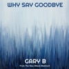 Why Say Goodbye - Single