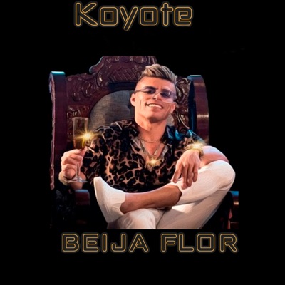 Beija Flor - Single