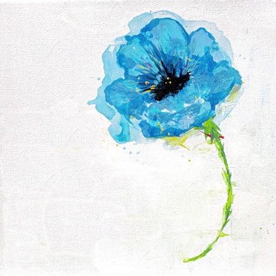 Poppy - Single