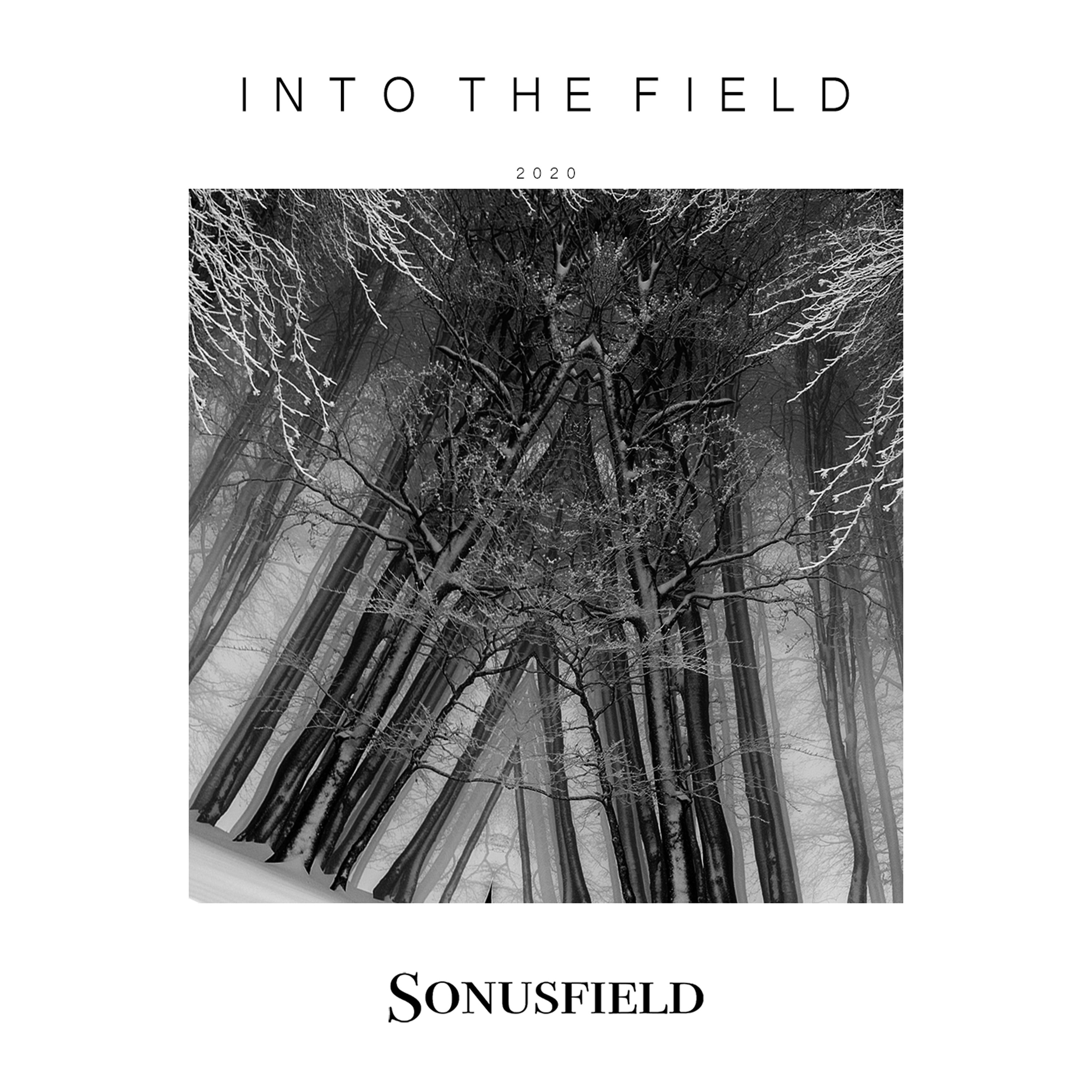 Possession - Damienn