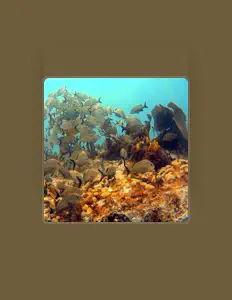 Ακούστε περιεχόμενο από Brian Lockwood, παρακολουθήστε μουσικά βίντεο, διαβάστε το βιογραφικό, δείτε ημερομηνίες περιοδείας, και πολλά ακόμη!