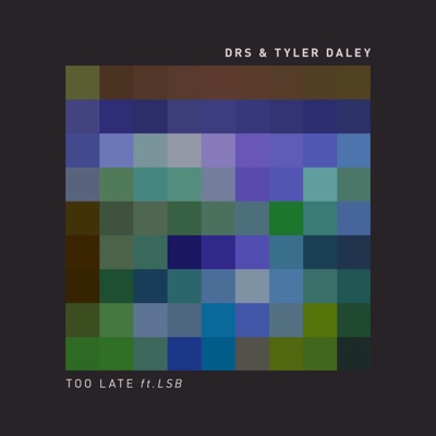 Too Late - Single