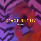 Kocie Ruchy artwork