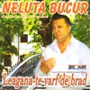 Leagana-Te Varf De Brad