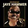 Jaye Hammer - Dig a Little Deeper