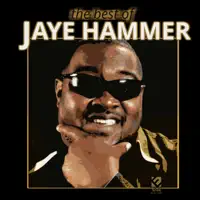 Dig a Little Deeper — Jaye Hammer