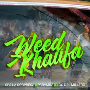 Weed Khalifa (feat. Paramba & Los Del Millero) - Single