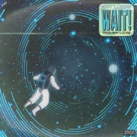 Wait! - Single - Sky Luca$