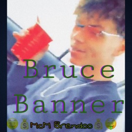 Bruce Banner Mcm Brendoo