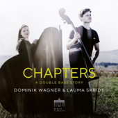 Mercy (Arr. for Double Bass & Piano by Dominik Wagner) song art