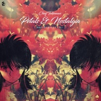 Petals & Nostalgia - Chief Takinawa