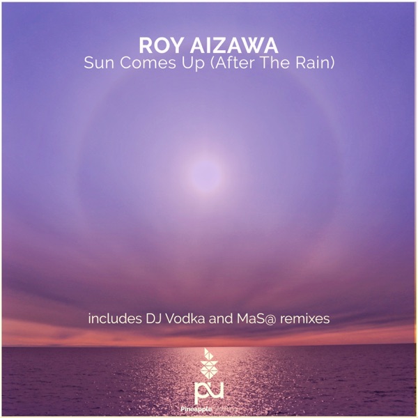 Sun Comes Up (After the Rain) - Single