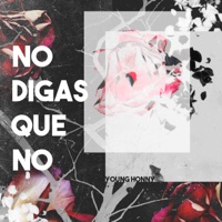 No Digas Que No - Single - Young Honny