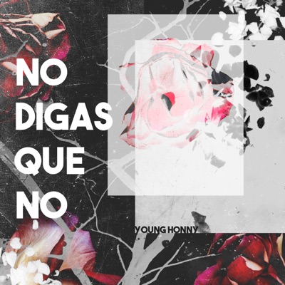 No Digas Que No - Single