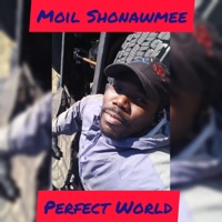 Perfect World (feat. Jey) - Single - Moil Shonawmee