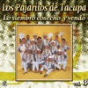 Los Pajaritos de Tacupa - Especialmente Para Ti