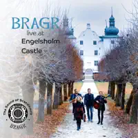 Hornfiffen (Live) — Bragr