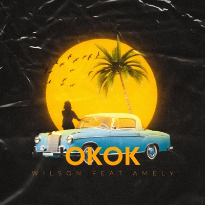 Ok ok (feat. AMELY) - Single