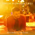 Tiada Mungkin Lagi