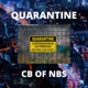 Quarantine feat Danielle Hollobaugh Single