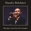 Lithuanian Chamber Orchestra, Saulius Sondeckis & Timofey Dokshizer - Trumpet Concerto in G Minor, Op. 5, No. 11: II. Larghetto