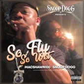 So Fly, So Wet (feat. Snoop Dogg) artwork