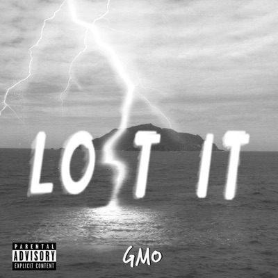 Lo$t It - Single