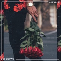 I'm Tryna - Single - Jay Ham