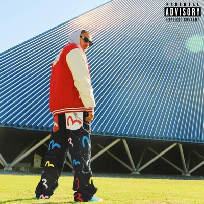 La Nueva Ley - Single