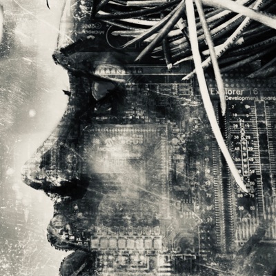 Exotic (feat. Tastic Og, KingDavid Alegend, Joey az, Lisa Fine & Mind Stein) - Single