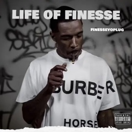 Life of Finesse Finesseyoplug