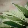 Liam Thomas - Nebula