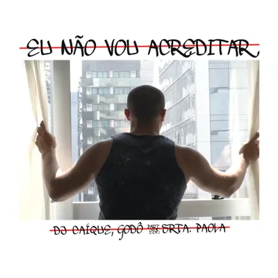 Eu Não Vou Acreditar - Single - DJ Caique