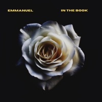 In the Book - Single - Emmanuel L.L.T.