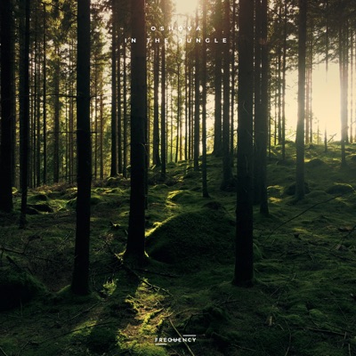 In the Jungle - Single