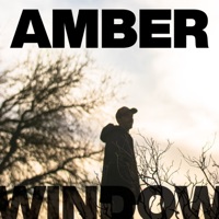 Shoemaker.levy9 - Single - Amber Window