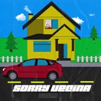 Sorry Vecina - Single