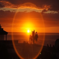 West Vibe - Single - Biggz