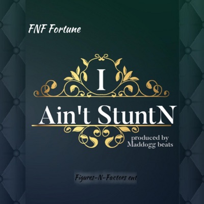 Ain't Stuntn - Single